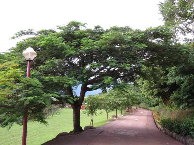 美崙山公園