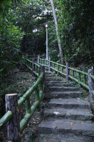 貴子坑露營場