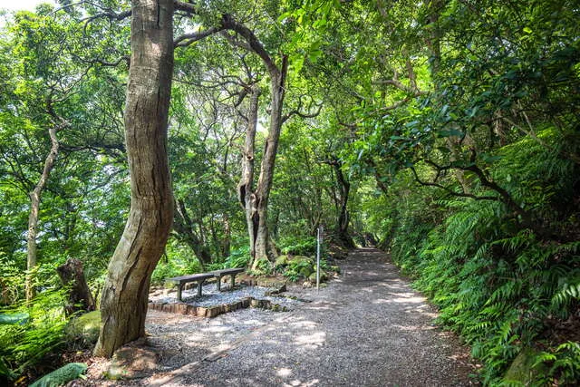 七星山系_天母古道親山步道