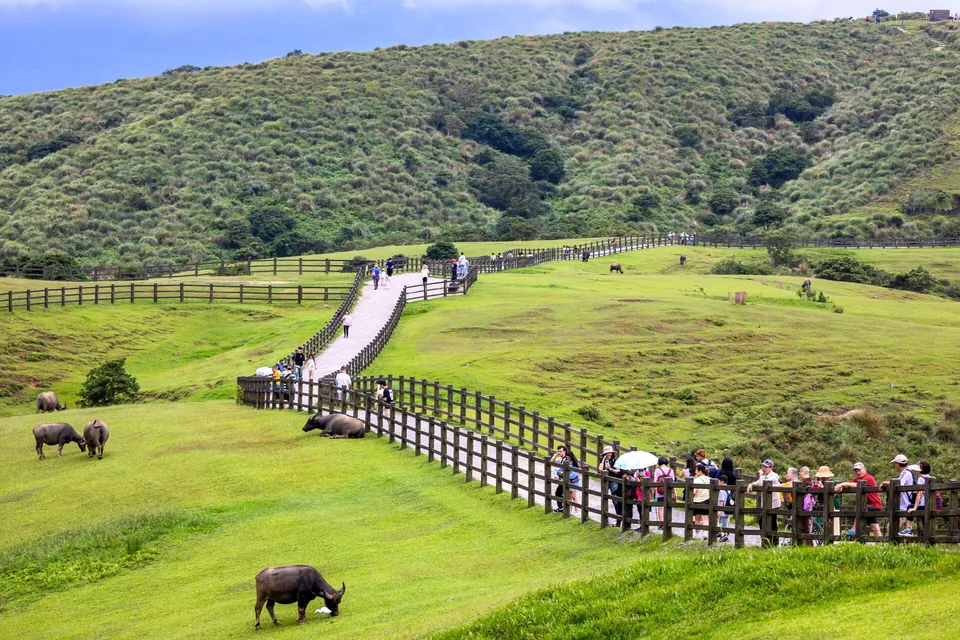 陽明山國家公園