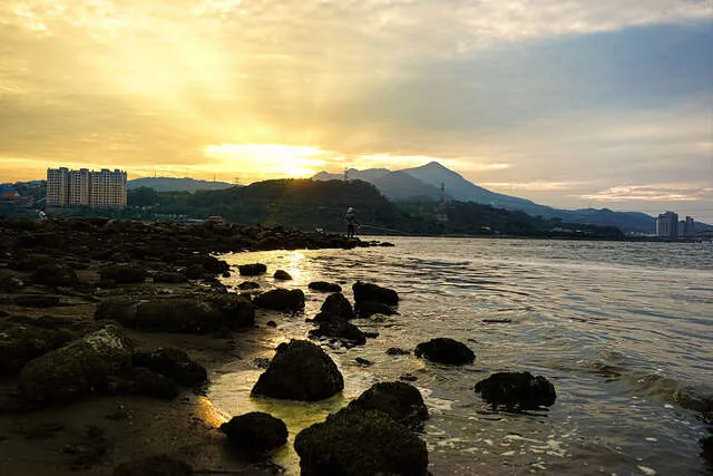 社子島島頭濕地