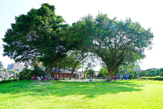 和平青草園_萬華402號公園