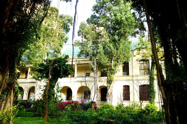 國立臺灣大學博物館群_醫學人文博物館