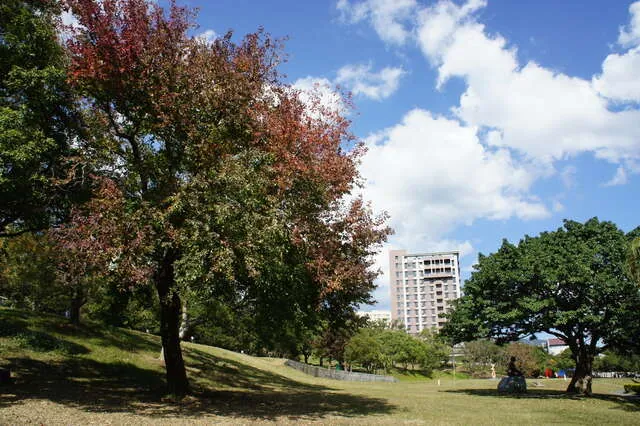 臺北藝術大學