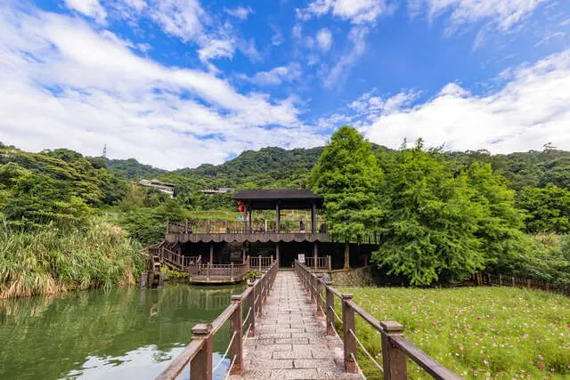 貓空樟樹步道