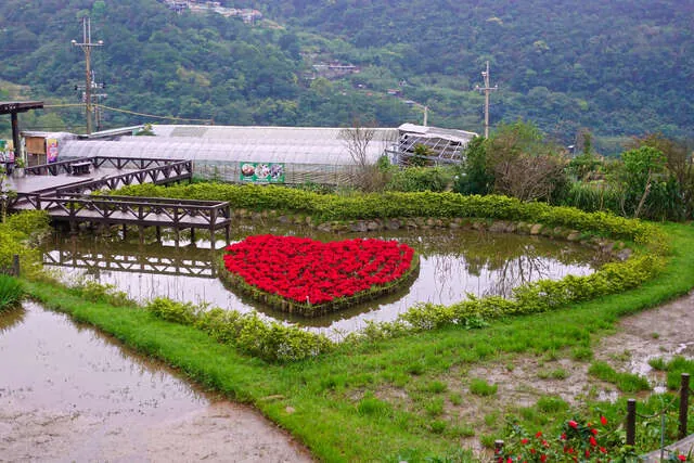 白石湖同心池
