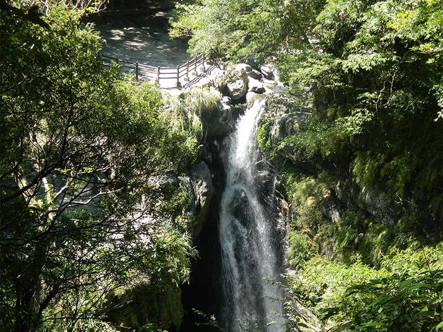 滿月圓國家森林遊樂區