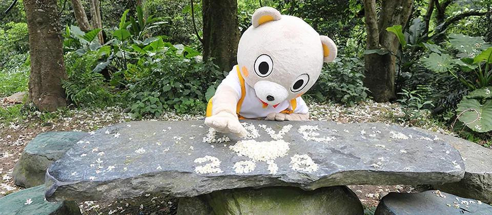 桐花公園