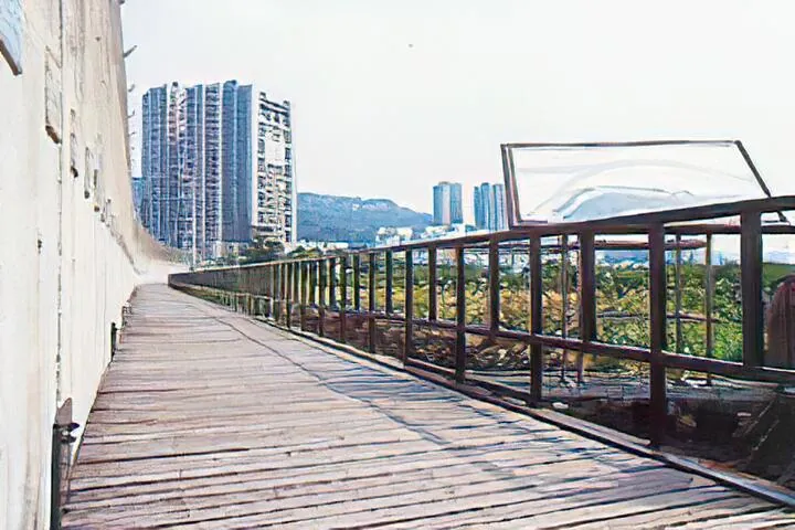 金色水岸自行車道