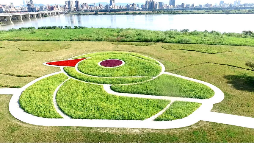 鴨鴨公園