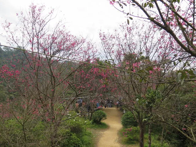 太極嶺