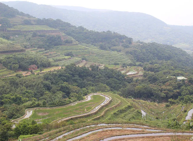 石門嵩山社區百年石砌梯田