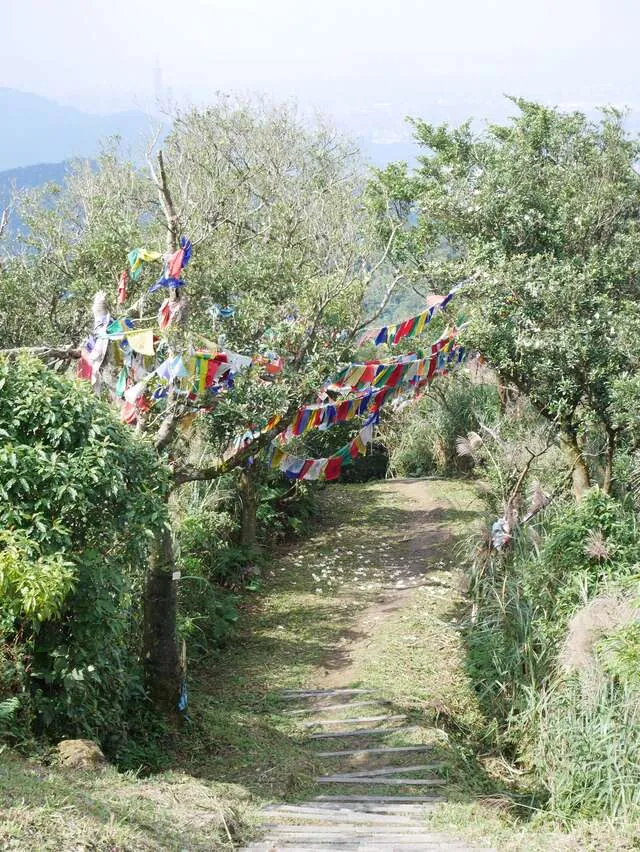 四分尾山