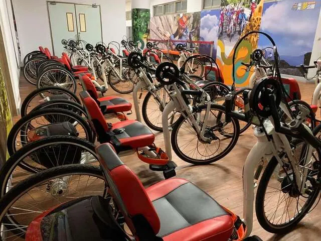 板樹體育館
