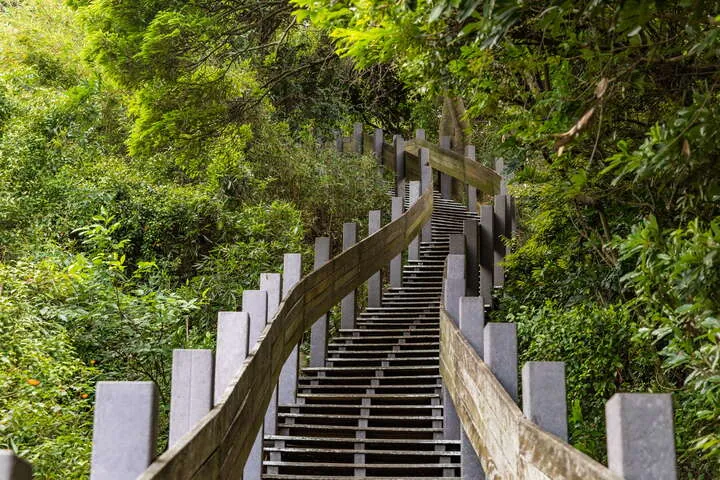 泰山義學坑步道