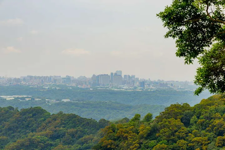 觀音山林梢步道