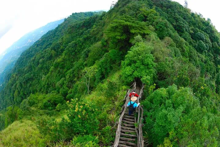 大坑5號(封閉中)及5-1號登山步道