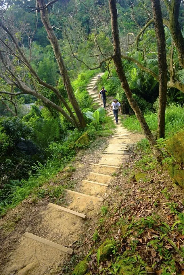 大坑6號登山步道