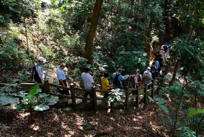 大坑7號登山步道(部分封閉)