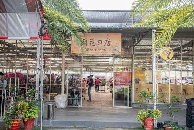 潭子觀光蘭園