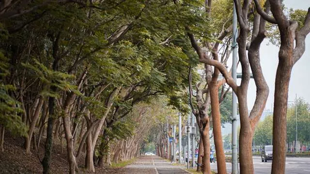 中科自行車道