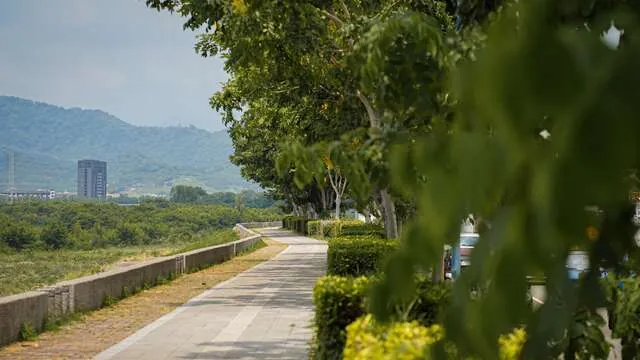 山線自行車道(專用道路段)