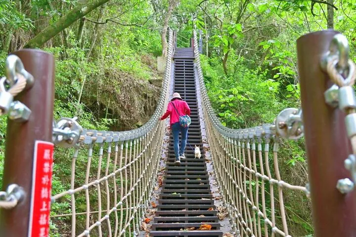 草嶺登山步道及楓仔林登山步道