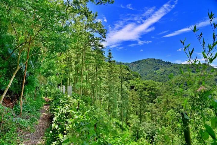 雙崎部落埋伏坪登山步道