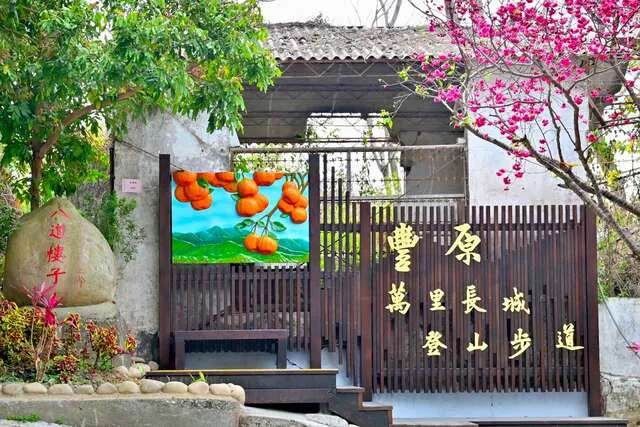 豐原萬里長城杜鵑花道