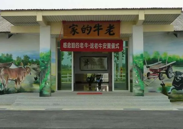 老牛的家