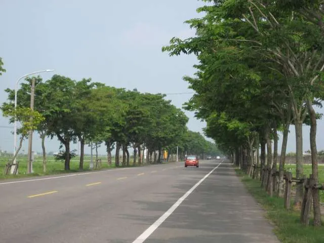 白河後壁印度紫檀廊道