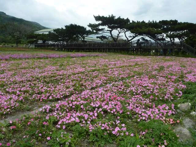 美山驛站