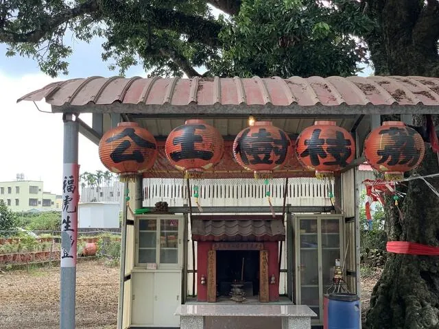 荔枝王