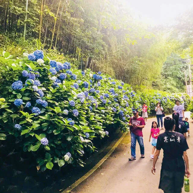 大湳部落
