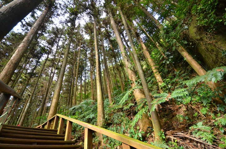 仙人堀步道