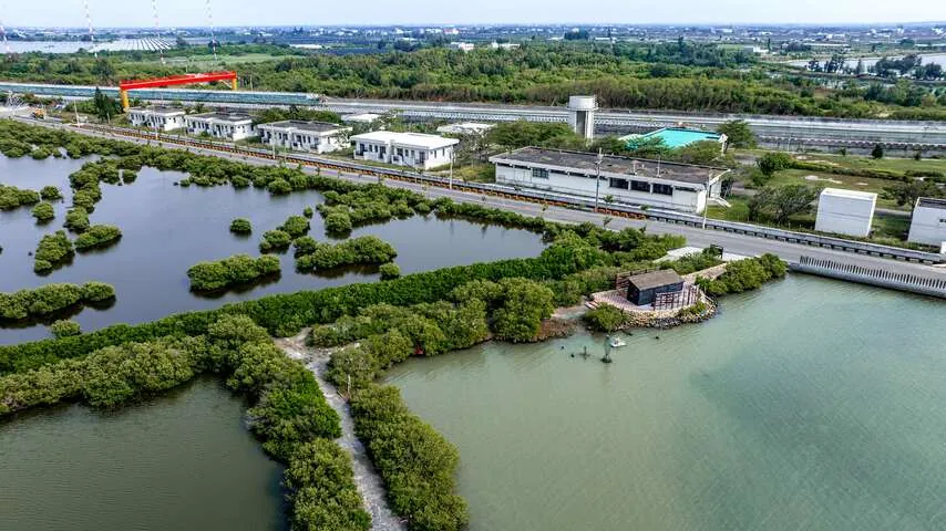 湖口濕地